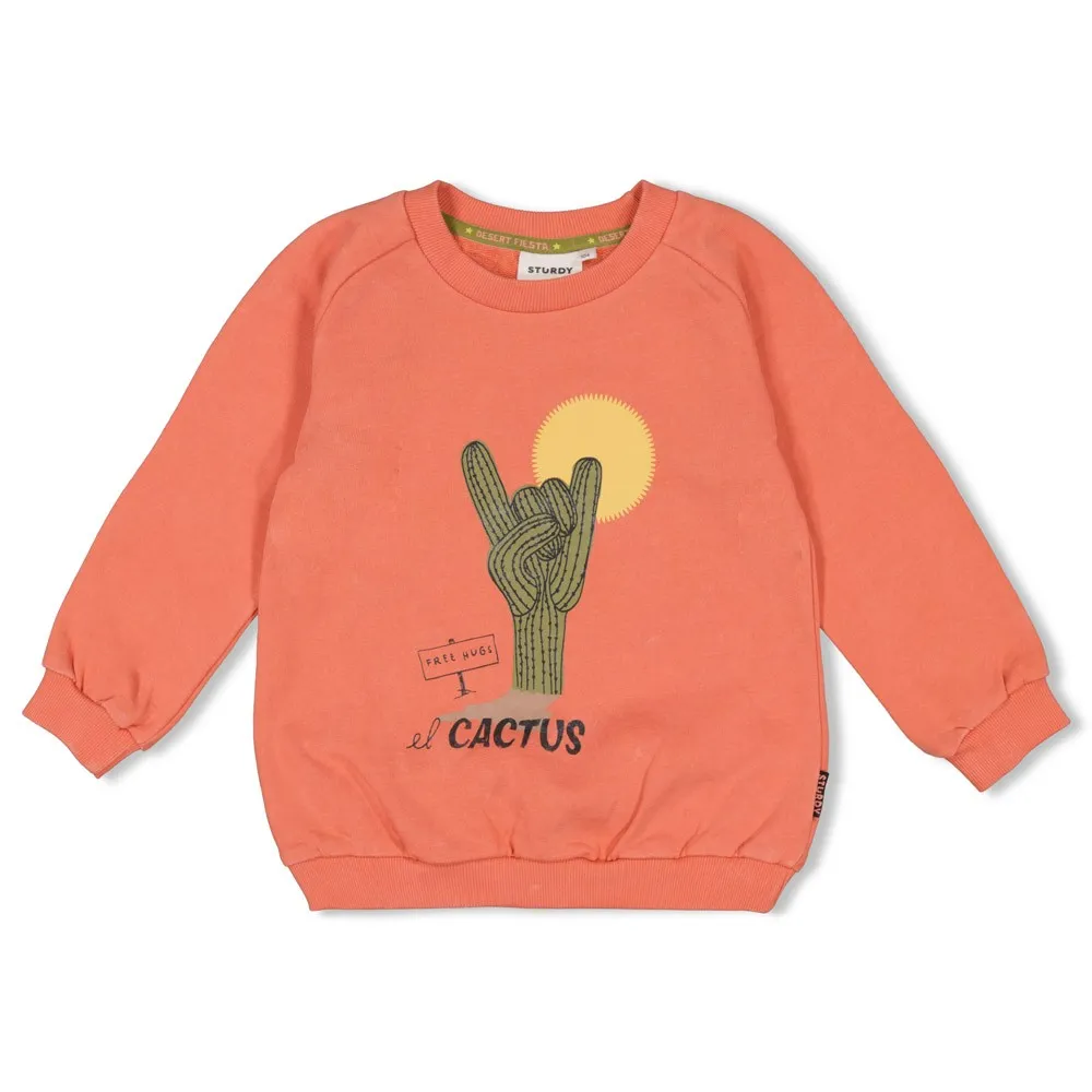 STURDY SWEAT CORAIL - DESERT FIESTA 140